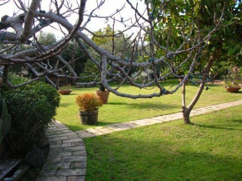 Bed & Breakfast Chiarenza Giardini Naxos
